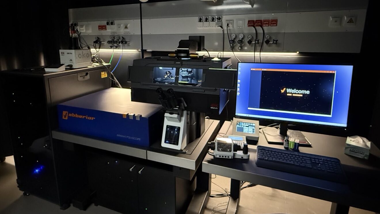 Abberior Mirava polyscope (STED / Minflux) – Imaging & Optics Facility